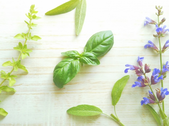 セージの代用は タイムやパセリなどのスパイス 違いやホワイトセージも お役立ち 季節の耳より情報局