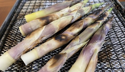 笹のたけのこは食べられる？主な栄養素や具体的な食べ方も紹介！
