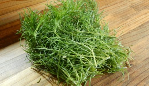 おかひじきはどれくらい日持ちする？賞味期限や保存方法、栄養やレシピも