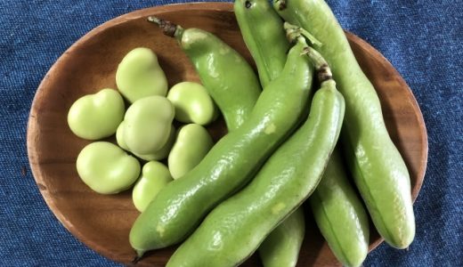 そら豆の解凍方法｜むいて保存?冷凍のグリル・茹で方は?保存期間は?