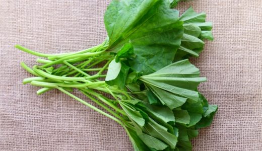 おかのりは花が咲いても食べられる？栽培方法や収穫時期、栄養やレシピも