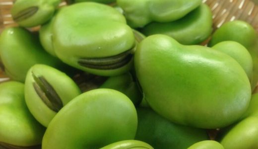 空豆の保存は冷蔵庫?冷蔵・冷凍・常温では?さや付きがいい?保存期間は?