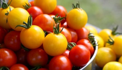 トマトの作り置き冷凍方法･保存期間｜スープ･ソースで栄養価アップ