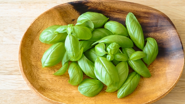 ホーリーバジルの保存方法を紹介 主な食べ方や余った際の活用法も お役立ち 季節の耳より情報局 ホーリーバジルの保存方法を紹介 主な食べ方や余った際の活用法も お役立ち 季節の耳より情報局