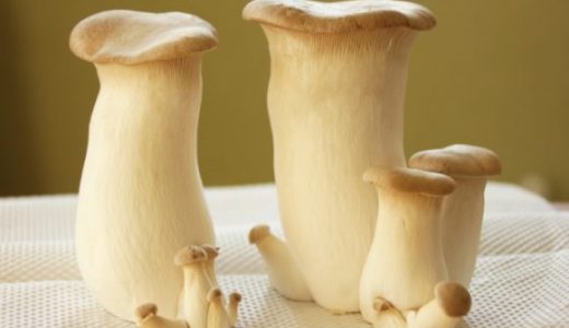 エリンギによる食中毒症状で胃痛･お腹が痛い!生焼けは食べられない?