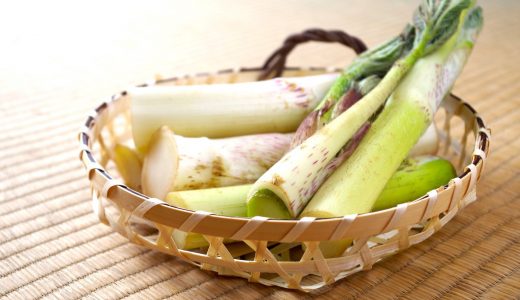 ウドでアレルギー症状は起こる?毒性は?味はまずい?美味しい?