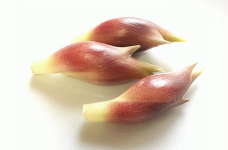 みょうがたけ･みょうがの違いは?食べ方･使い方･保存方法は?