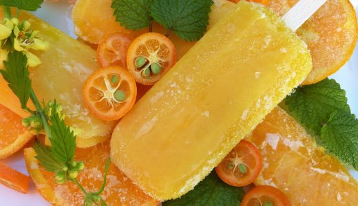 アイスキャンディーには賞味期限がないって本当?その理由は?