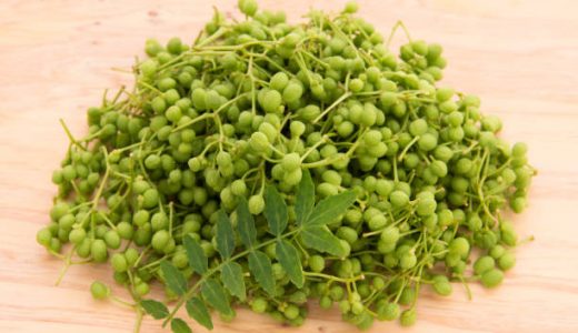 イヌザンショウ(犬山椒)の実に毒性はある?山椒との違い･効能は?