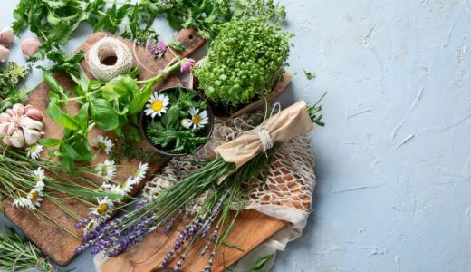 オレガノとバジルの違いは何?乾燥･生の使い方｜効能･栄養成分は?