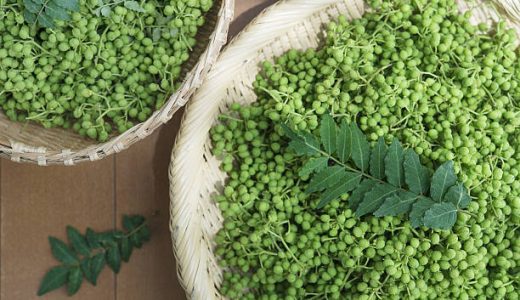 イヌザンショウは食べられる?毒性･山椒との見分け方･効能は?