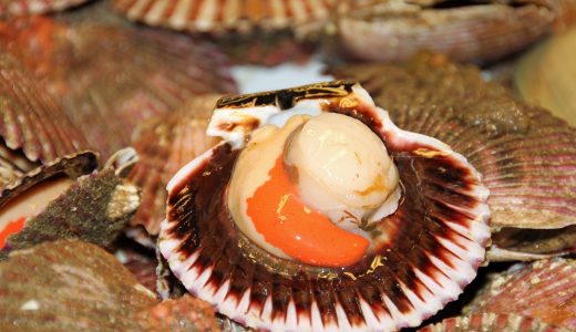 ホタテの生食用と加熱用にはどんな違いがあるの?使い方は?