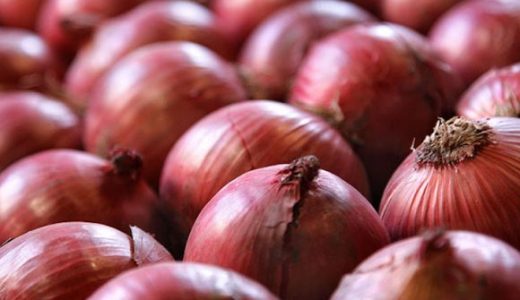 アーリーレッドは生で食べるのがおすすめな理由!栄養・効果