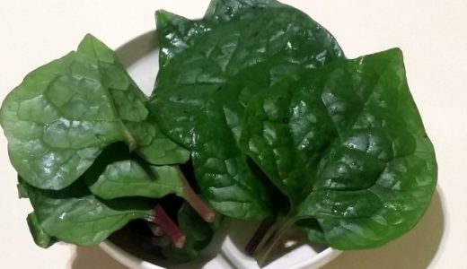 ツルナ・ツルムラサキ・モロヘイヤの違い｜どんな味？栄養・健康効果は？