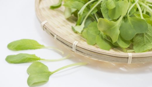 つまみ菜は生で食べれる？かいわれとの違いは？おひたしやサラダ・ツナに