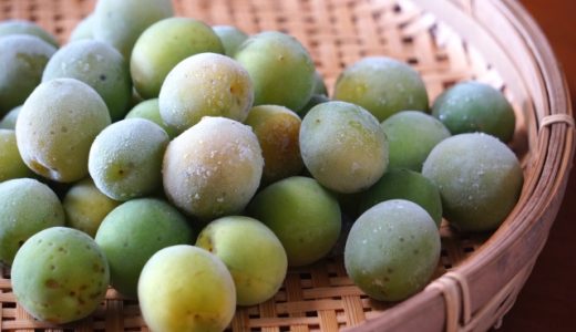 梅の正しい冷凍保存方法は？「冷凍梅」でジャムや梅酒に応用可能！