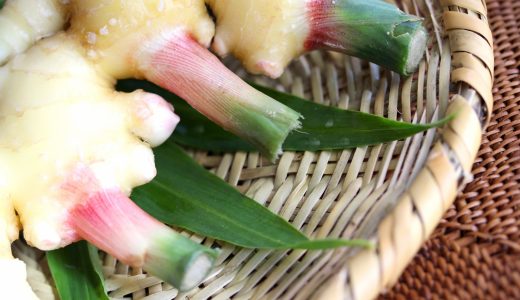 新生姜の保存方法｜常温・冷蔵・冷凍|長期保存方法も解説！