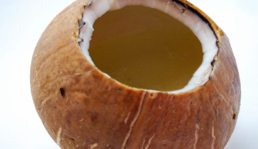 ココナッツパウダーの代用品として使えるものは?どんな栄養があるの?