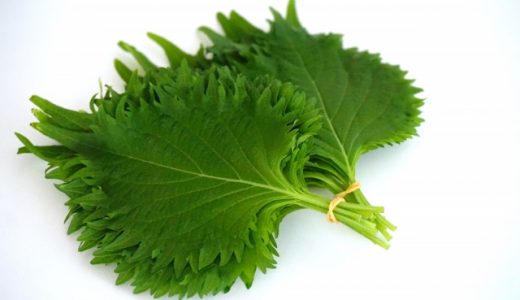 【紫蘇アレルギー】シソ科のアレルギーはどんな症状？対処法は？