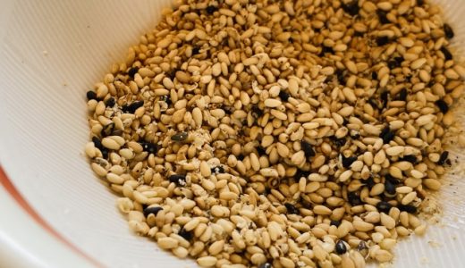 生ごまは賞味期限はどれくらい？そのままは食べられないの？炒り方は？