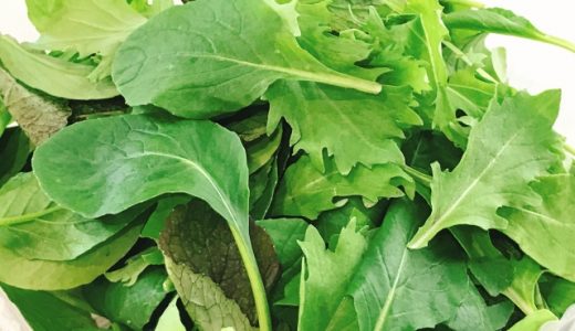 ベビーリーフの賞味期限・日持ちは?未開封では?腐る?大量消費方法は?