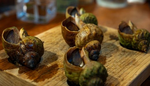 つぶ貝には毒がある？取り方は？めまいの直し方・治療法は？失明する？