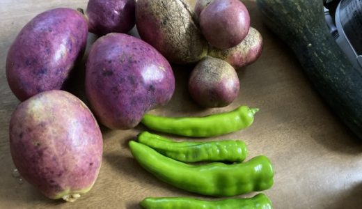 ししとうの辛味を取る方法は?種が辛い?辛さを抑えて食べる方法は?