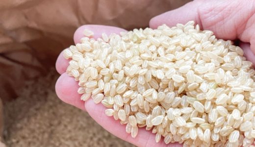 金芽ロウカット玄米に毒があるって本当?気をつけるべき毒かを解説