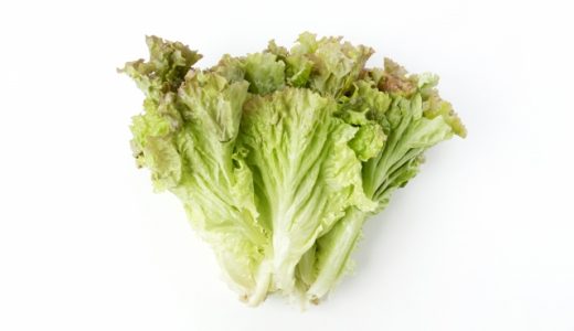 サニーレタスはちぎって保存すべき？酸化を防ぐため包丁は厳禁！