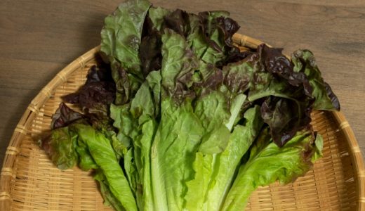 レタスの食中毒症状は?生で食べるのは危険?予防する方法や工夫