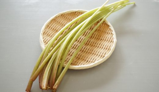 ふきはいつまで食べられる食材？旬の時期や調理法・成分も紹介！
