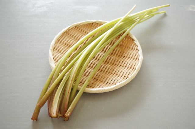 ふきの大量保存は塩漬けがおすすめ 下処理の仕方や保存方法も紹介 お役立ち 季節の耳より情報局