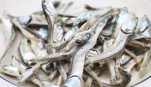 カタクチイワシの食べ過ぎは危険?痛風や塩分過多に?一日量は?