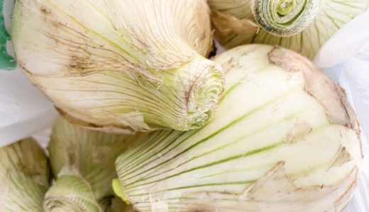 新玉ねぎのサラダは水にさらさないって本当？辛味の原因も紹介！