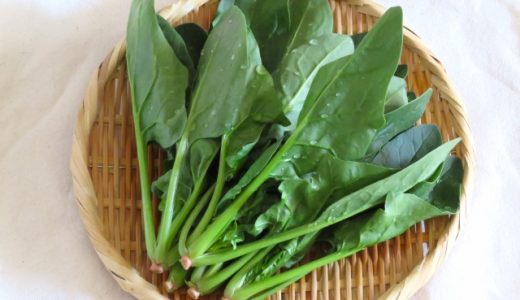 ほうれん草で口の中がイガイガになる理由は?摂りすぎは危険?