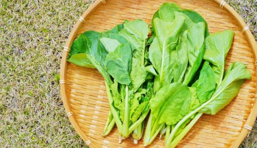 小松菜は食べ合わせでより健康的に！おすすめの食べ合わせ食材は？