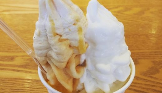 フローズンヨーグルトがシャリシャリ・カチカチになる?ゼラチンは必要?