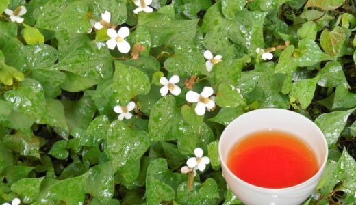 ドクダミの食べ過ぎ・飲みすぎは危険?妊娠中は注意?副作用は?