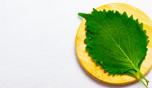 大葉はそのまま食べる？洗わなくていいって本当？アク抜きは必要？
