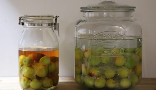 梅酒リキュールの賞味期限・消費期限は？未開封と開封後で違う？