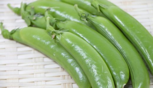 スナップエンドウのお弁当作り置きレシピを解説!栄養価や旬の時期
