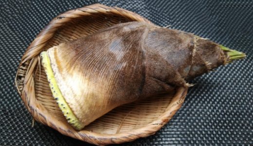 麻竹と孟宗竹の違いとは?アクが強いのはどっち?栄養価の違いは?