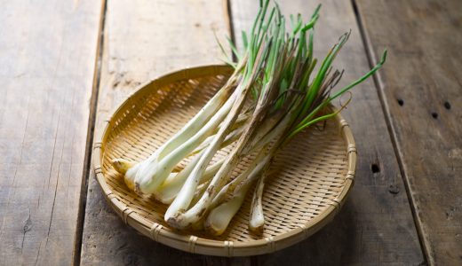 島らっきょうの緑の部分は食べれる？茎の部分は〇〇と一緒に食べる！