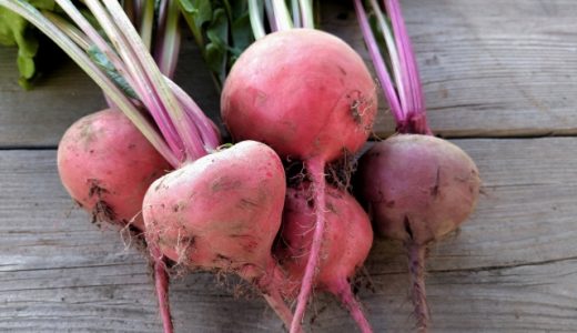 ビーツの保存方法と保存期間は?冷凍などで保存する際の長期保存のコツ