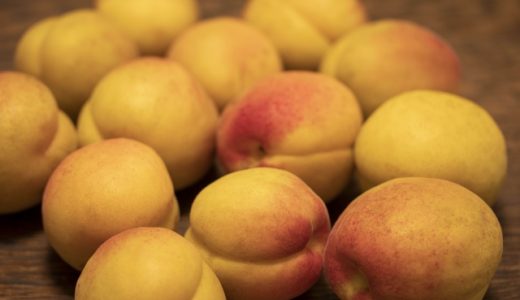 あんず油の使用期限はどのくらい?どのように使うのが効果的?