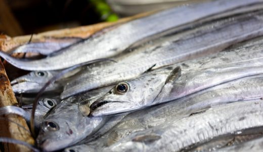 太刀魚を食べ過ぎると危険？アニサキスやグアニンに注意！加熱で対策