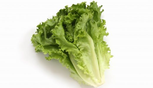 グリーンリーフの種類は?レタスは他にどんな種類があるの?栄養は?