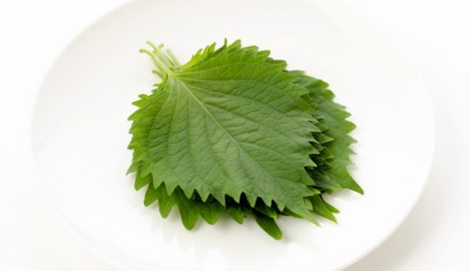 紫蘇の食べ過ぎは太る？体に悪い？ダイエット効果のある栄養成分は