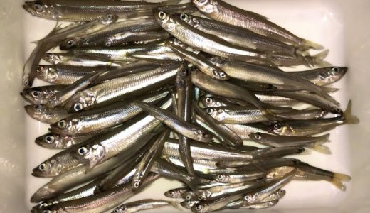 ワカサギの栄養成分･効果効能｜食べ過ぎは体に悪い?美味しい食べ方