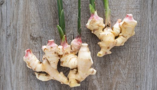 新生姜シロップの日持ち期間は？腐るとどうなる？保存方法を解説！